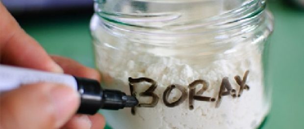 borax en cosmetica