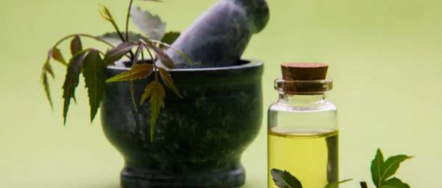 aceite de neem para el cabello